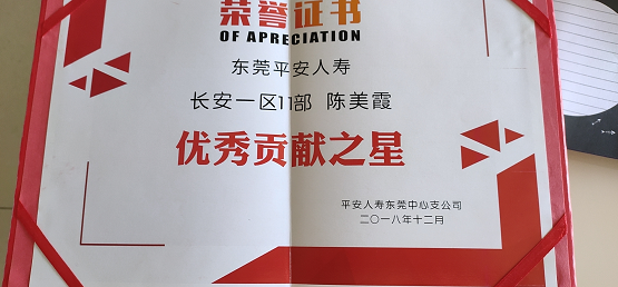 陈老师团队风采