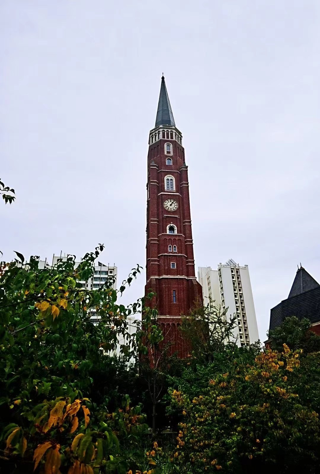 邱老师团队风采